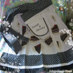 JUBApleateddotCAKEhalfapron.jpg