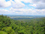 IMG_5445.jpg