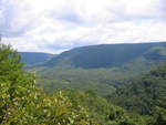 IMG_5449.jpg