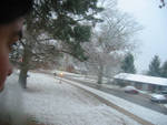 Highlight for Album: First Snow 2008