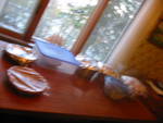 Highlight for Album: Thanksgiving 2008