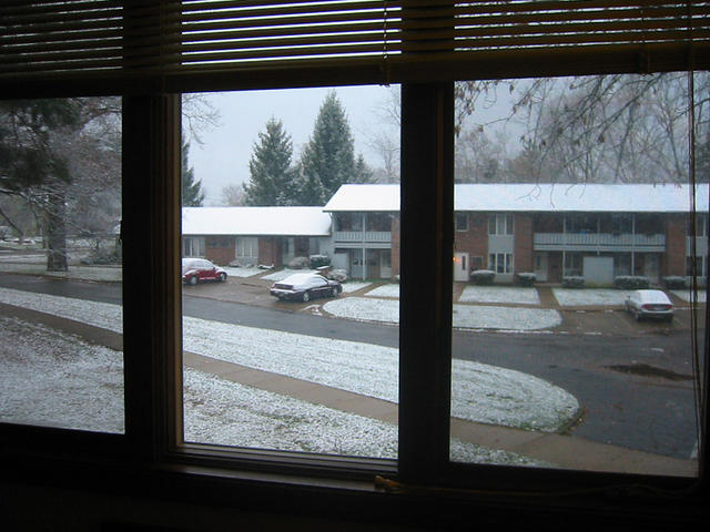 Nov1708snow01.jpg