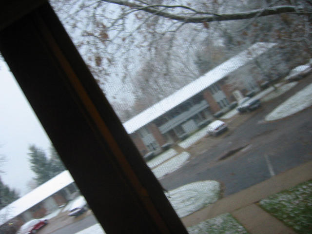 Nov1708snow06.jpg