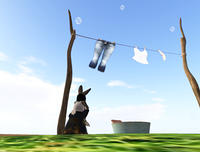 050408laundryday.jpg