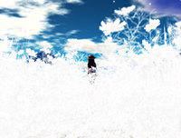 051008whiteflowers.jpg