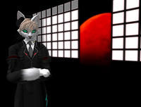 newboxcat.jpg