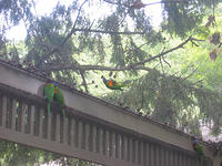 IMG_7044.jpg