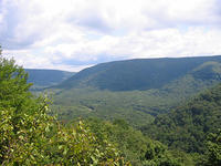 IMG_5449.jpg